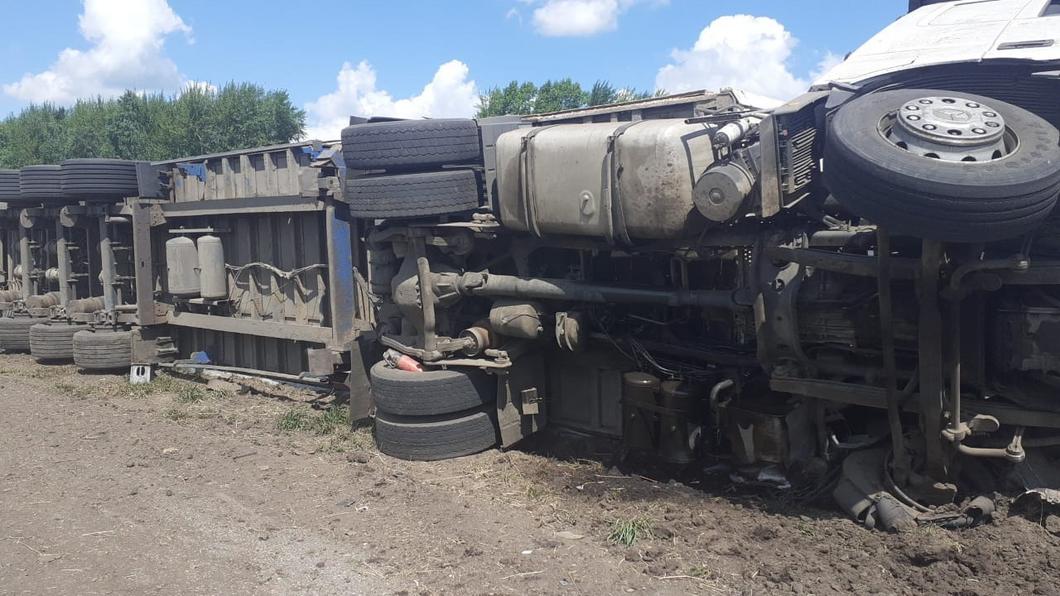 В Башкирии в результате ДТП погибли 200 баранов