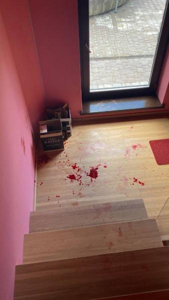 В Мытищах обезьяна растерзала двухлетнего ребенка