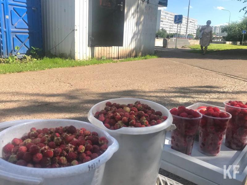 Что делать, когда пенсия без малого 12 тысяч: по каким законам существует ягодная торговля в Челнах