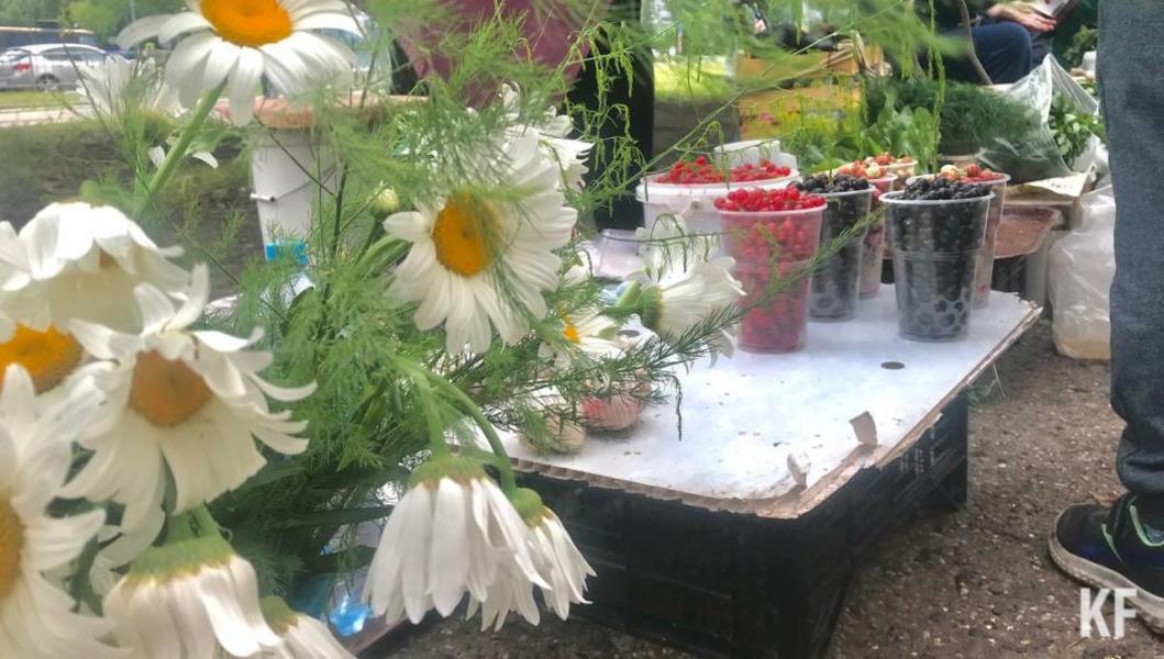 Ягодная торговля в Челнах: как устроен народный бизнес