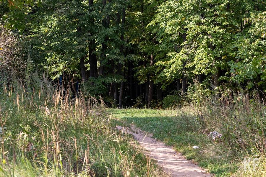В Татарстане нашествие клещей: как защититься от паразитов