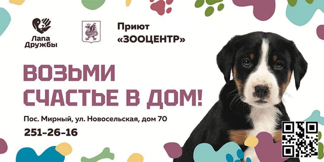 Татарстанцы с начала года забрали из приюта «Зооцентр» 233 собаки