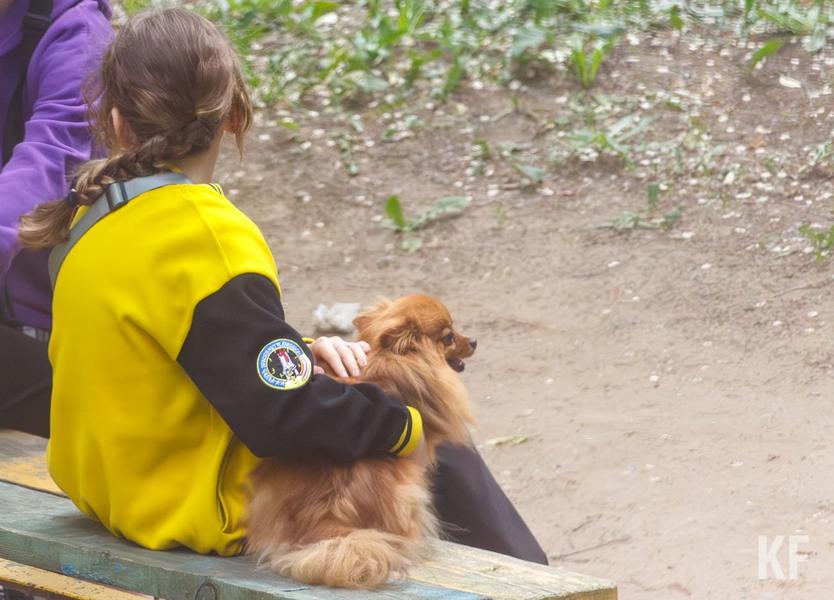 «Добиться того, чтобы Казань стала городом без брошенных животных не так просто»