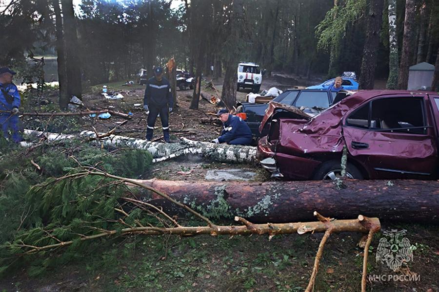 «Стихия испытала нас на прочность»: как в Казани борются с последствиями урагана