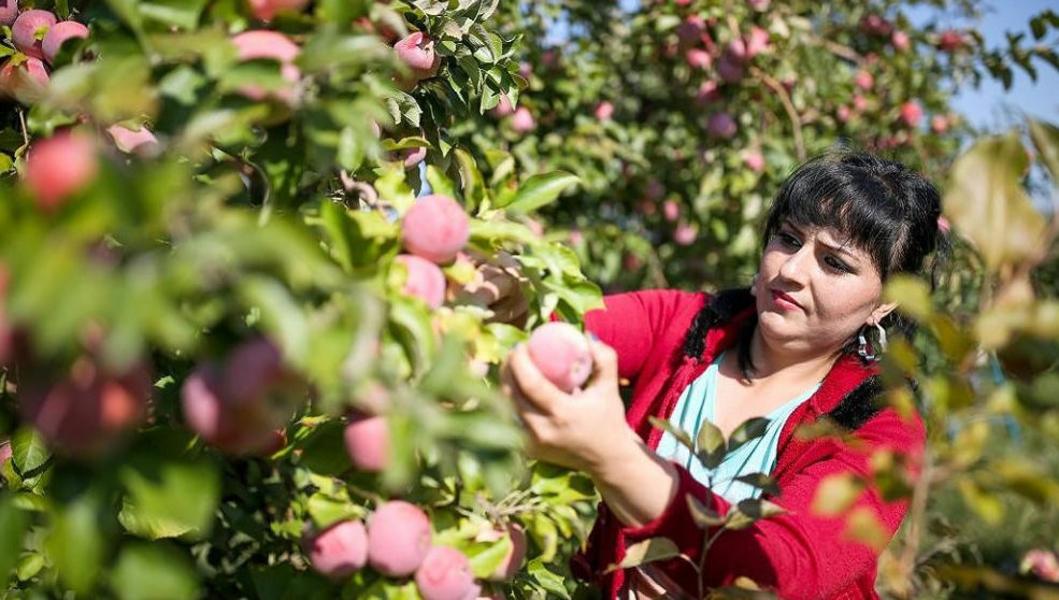 Диалог, смета, конкретный план