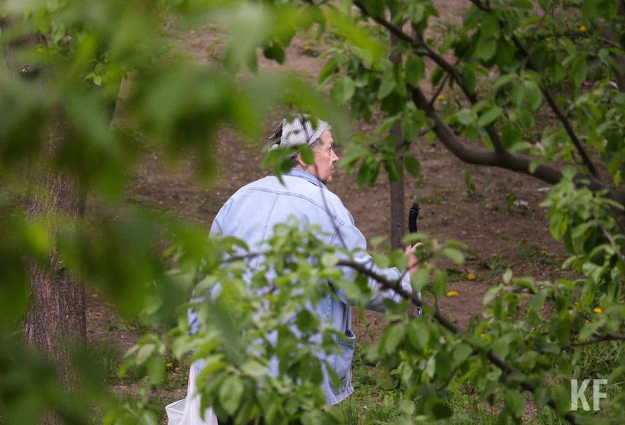 Как стать волонтером-поисковиком, островки безопасности и кто чаще теряется в татарстанских лесах: в Казани стартовали волонтерские учения