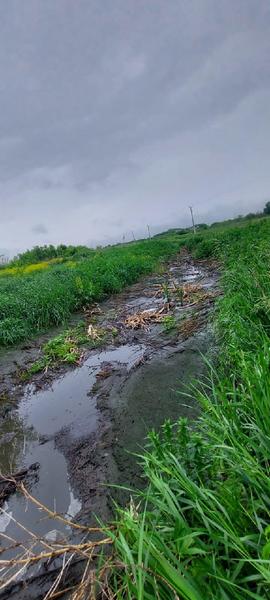 «Камский Бекон» схлестнулся в суде со специалистами Росприроднадзора и проиграл