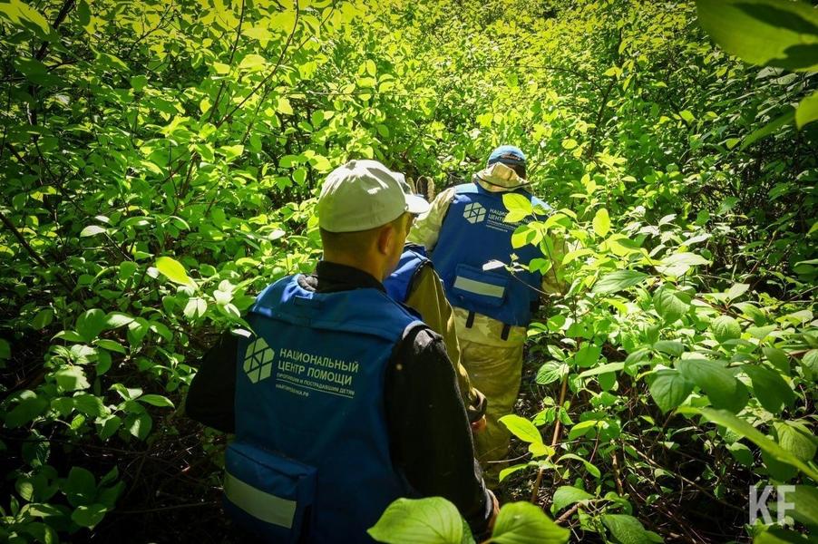 Как стать волонтером-поисковиком, островки безопасности и кто чаще теряется в татарстанских лесах: в Казани стартовали волонтерские учения