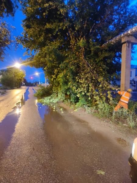 Службы активно устраняют последствия сильного ветра в Татарстане