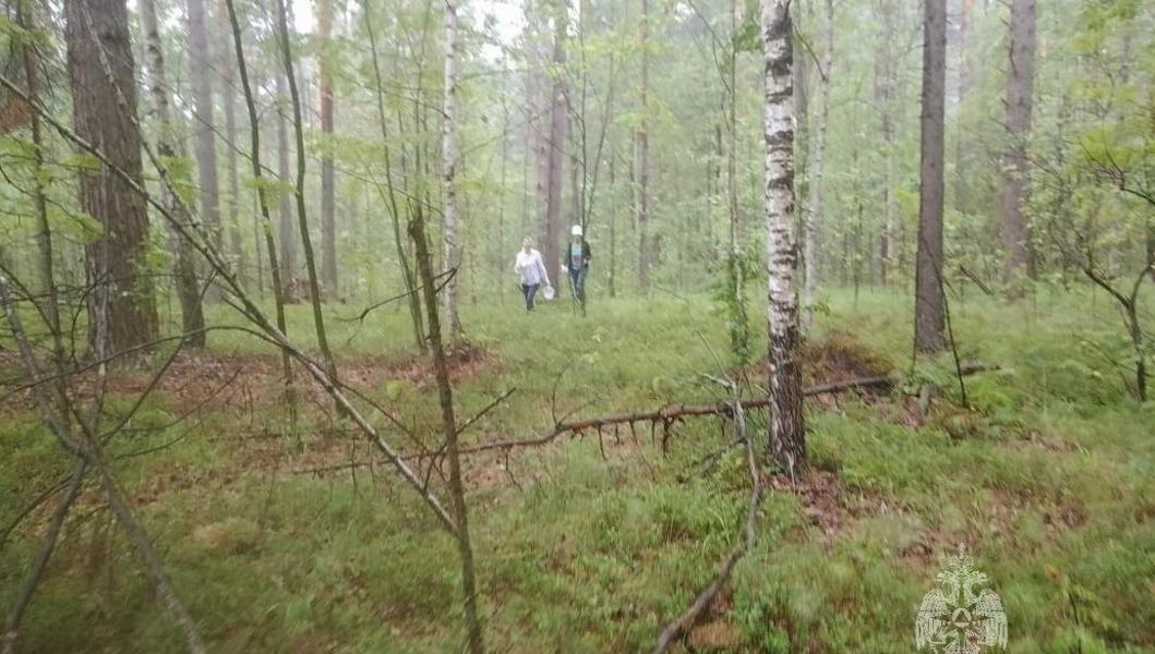 Казань соберет людей «с большим сердцем»