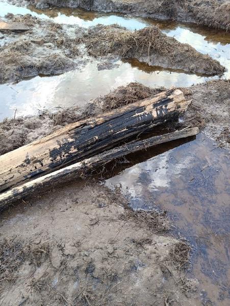 ООО «Волгатранс» возместило ущерб почве на сумму 1,7 миллиона рублей