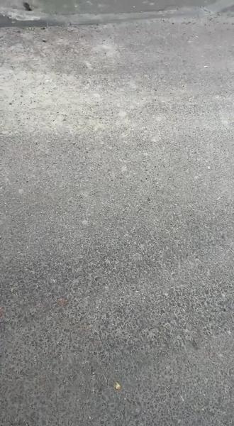 Видео: В Казани воробьи падают от жары и обезвоживания Видео: В Казани воробьи падают от жары и обезвоживания