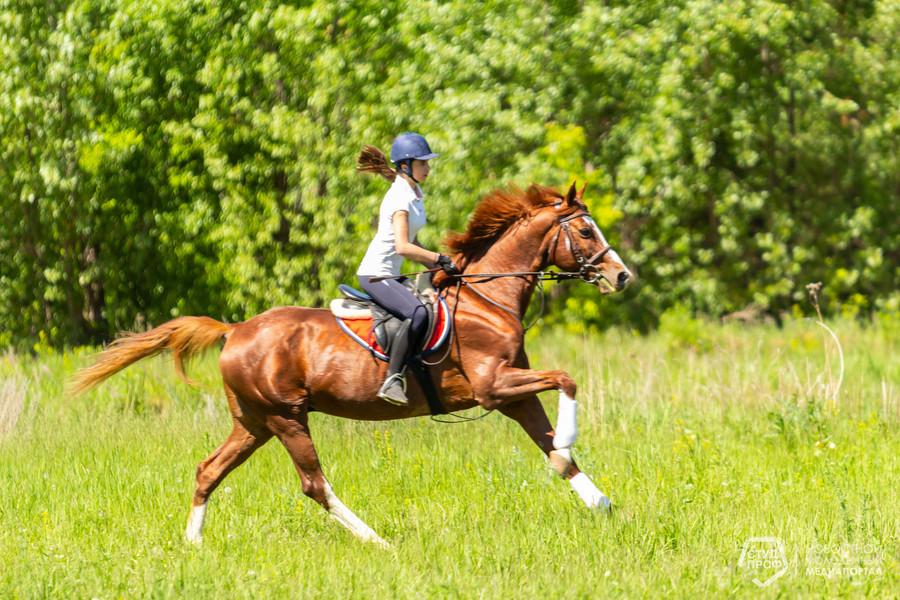 Челнинка стала чемпионом первенства России по спортивному туризму на конных дистанциях