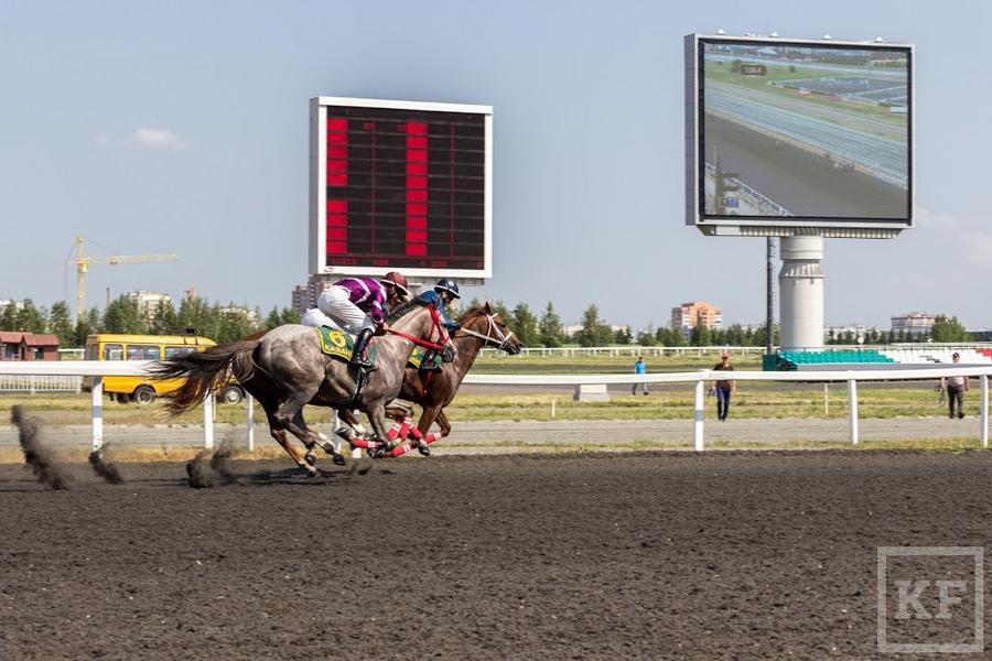 На скачках в Казани главный Кубок выиграл жеребец из конюшни Рамзана Кадырова