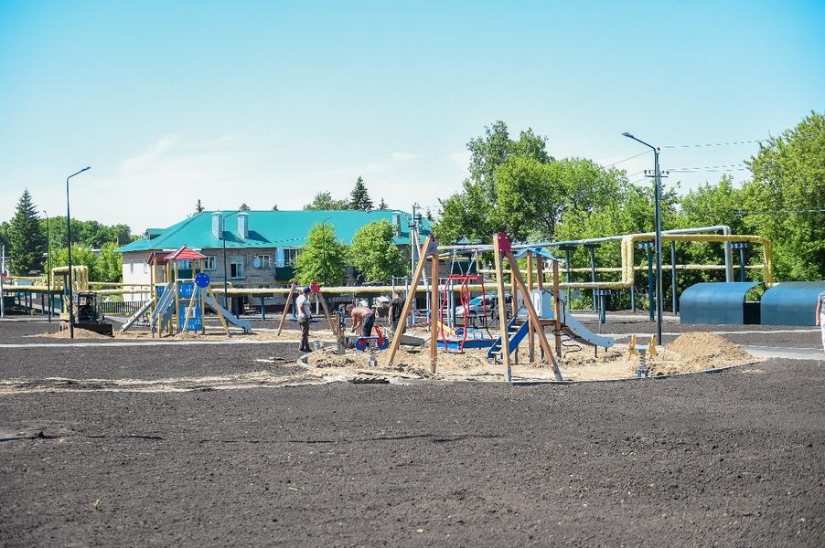 Айдар Метшин высадил «Аллею памяти» в поселке под Нижнекамском