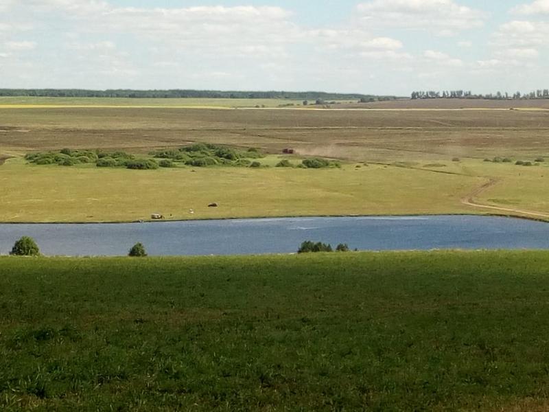 В Татарстане утонул пытавшийся переплыть пруд мужчина