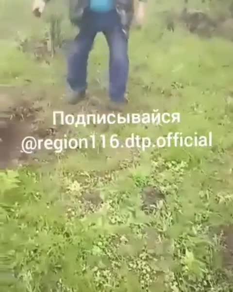 Ждать, пока они нас сожрут: в Татарстане жалуются на стаи диких кабанов