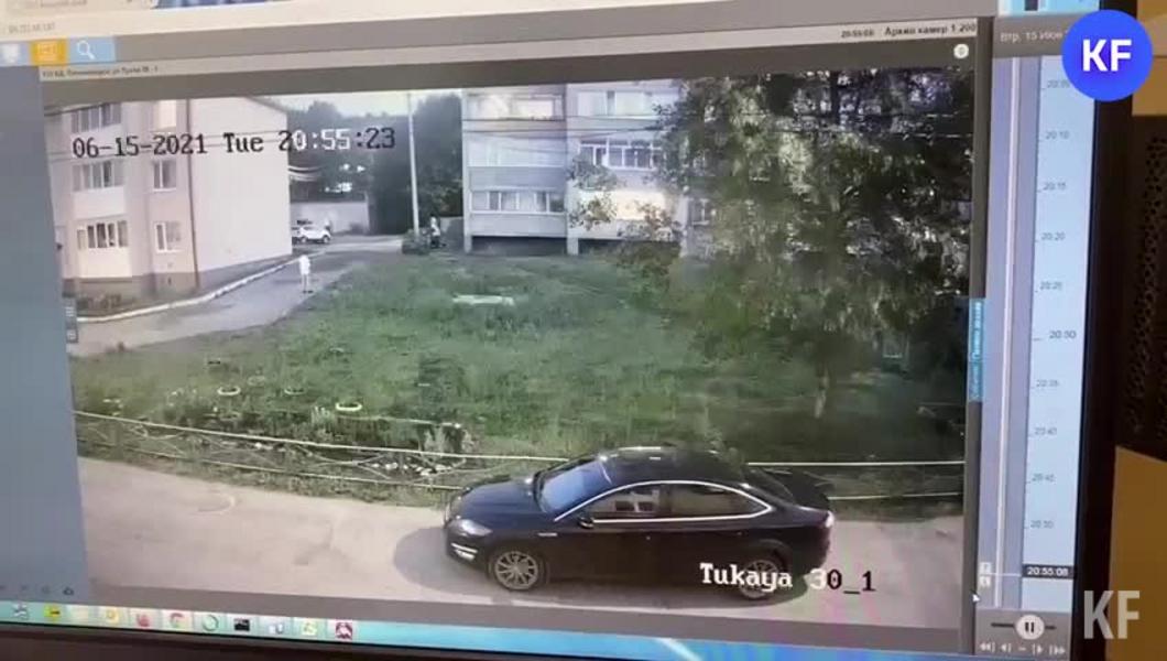 Мужчина похитил сиамского кота у лениногорки, страдающей от проблем со зрением