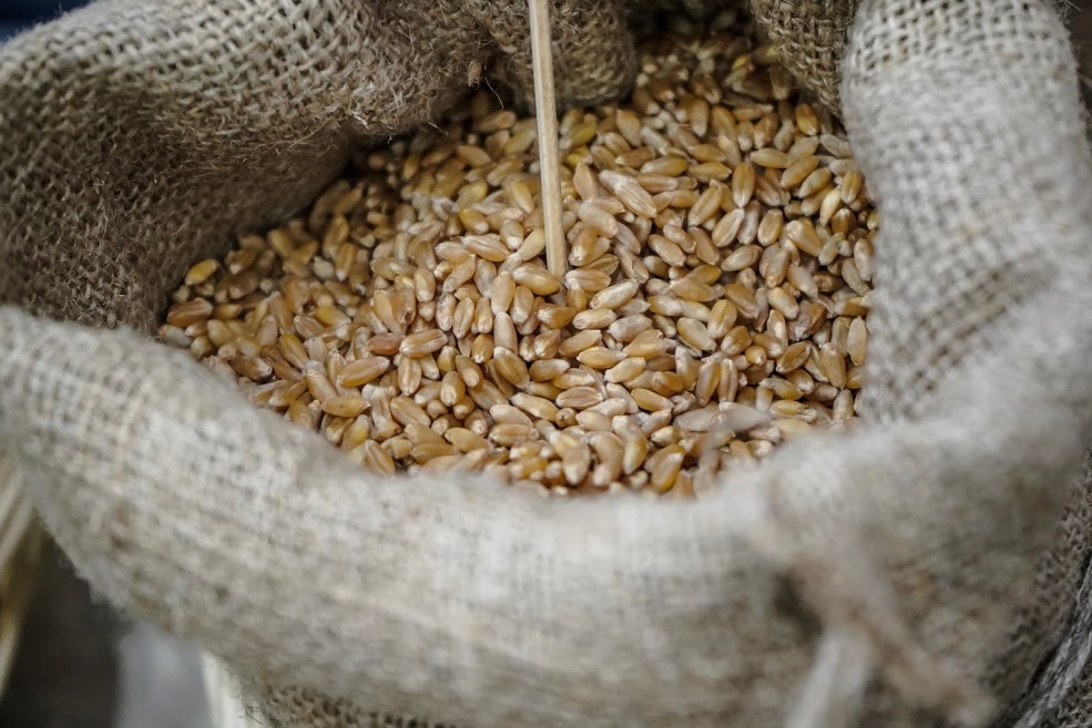 Аграрии Татарстана закипают от жары