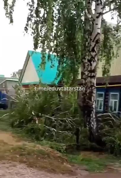 Ураган в Мамадыше повалил столбы и деревья, а также снёс крыши домов