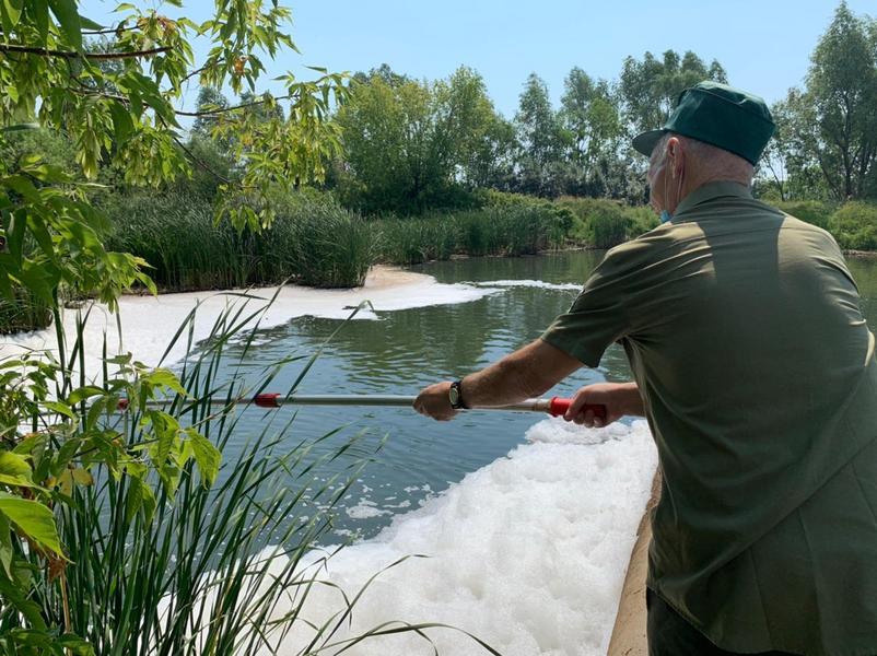 Экологи начали расследование из-за пены на водоёме в Отарах