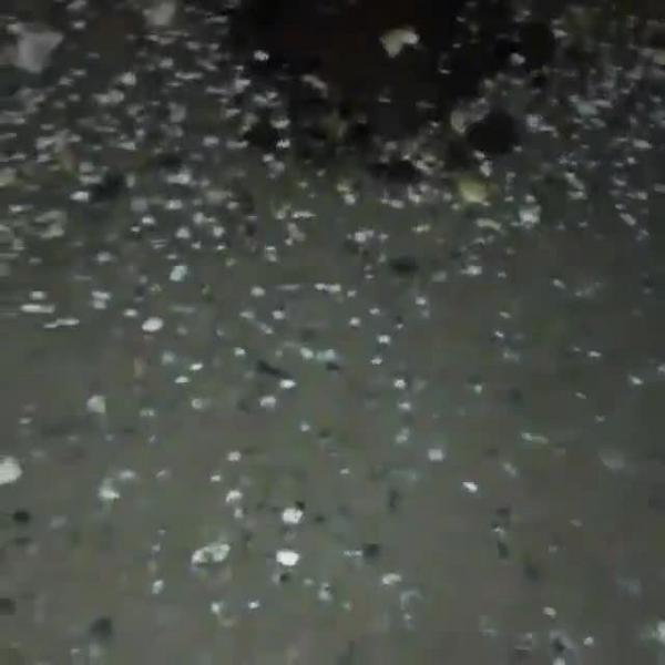 Казанцы поделились видео кишащего тараканами двора