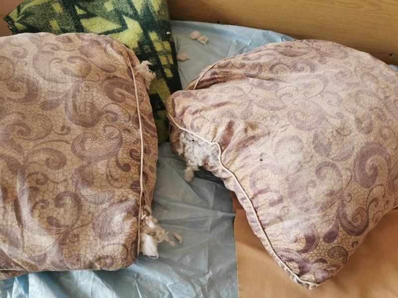 «Мне жаль, что свои последние дни мой отец провел в таком тараканнике» «Мне жаль, что свои последние дни мой отец провел в таком тараканнике»