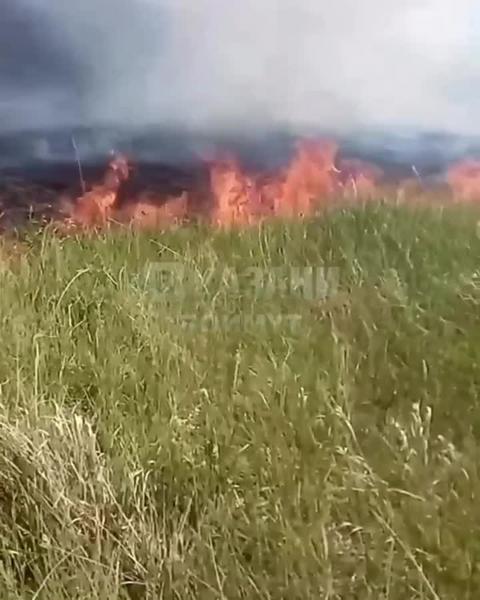 В Татарстане при тушении горящей травы сломалась пожарная машина