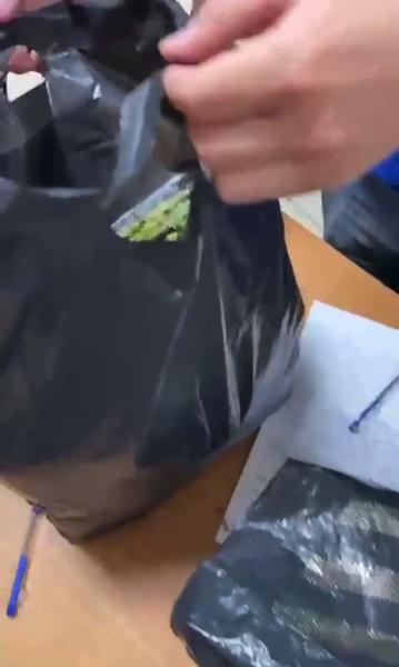 В Казани полиция задержала мужчин с маковой соломой в пакете