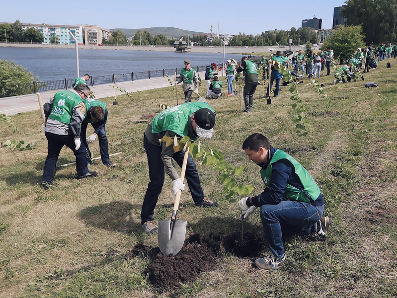 Отсутствие лицензий и загрязнение воды: Росприроднадзор раскрыл болевые точки Татарстана