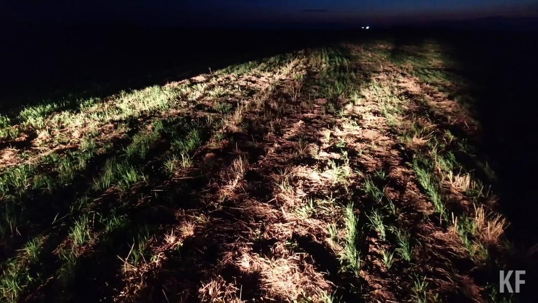 В Мензелинском районе Татарстана упал мужчина на параплане В Мензелинском районе Татарстана упал мужчина на параплане