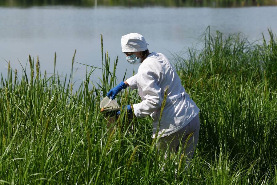 Сотрудники дезинфекционной станции Казани обработали от комаров уже 44 водоема