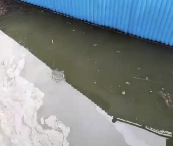 «Если нефтепродукты попали в водоем, значит, экосистема деградировала»