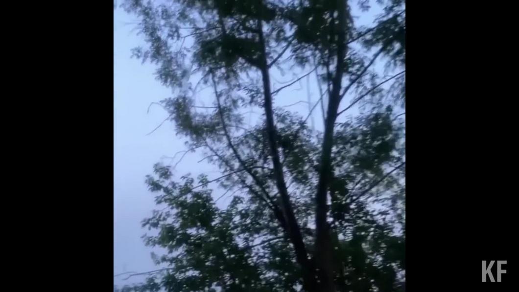 Возбуждено уголовное дело после посадки вертолета на лаишевском пляже