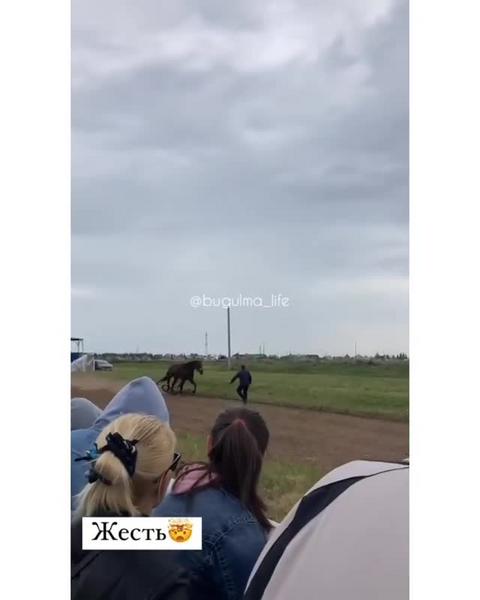 На Сабантуе в татарстанских Балтасях запряженная в телегу лошадь врезалась в толпу: один ребенок в больнице
