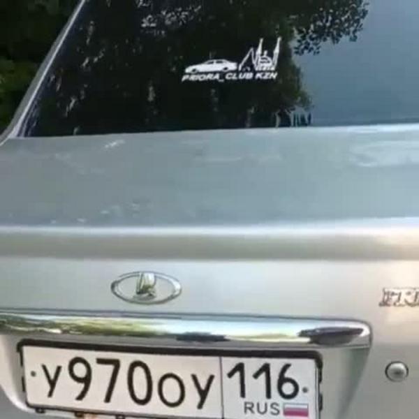 Хозяин оставленной в машине хаски в жару рассказал, как все было на самом деле