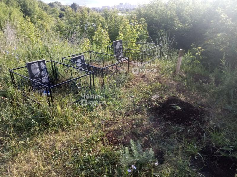 В Челнах организовали импровизированное кладбище для кошек В Челнах организовали импровизированное кладбище для кошек
