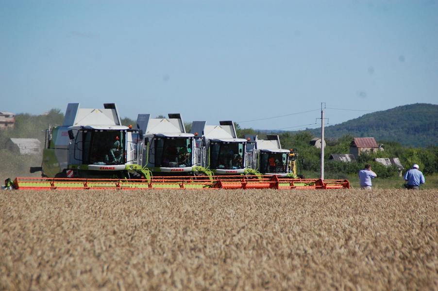 Поможет хороший дождь либо глава: как альметьевцы пытаются сохранить урожай в засуху