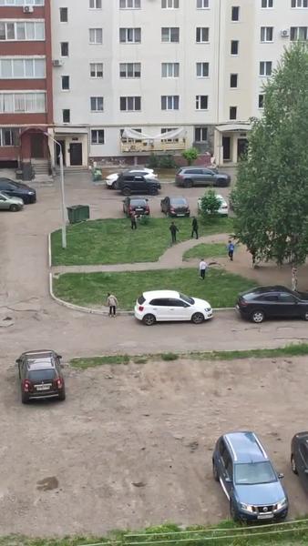 В Нижнекамске дети набросились с палками и камнями на дворовую собаку