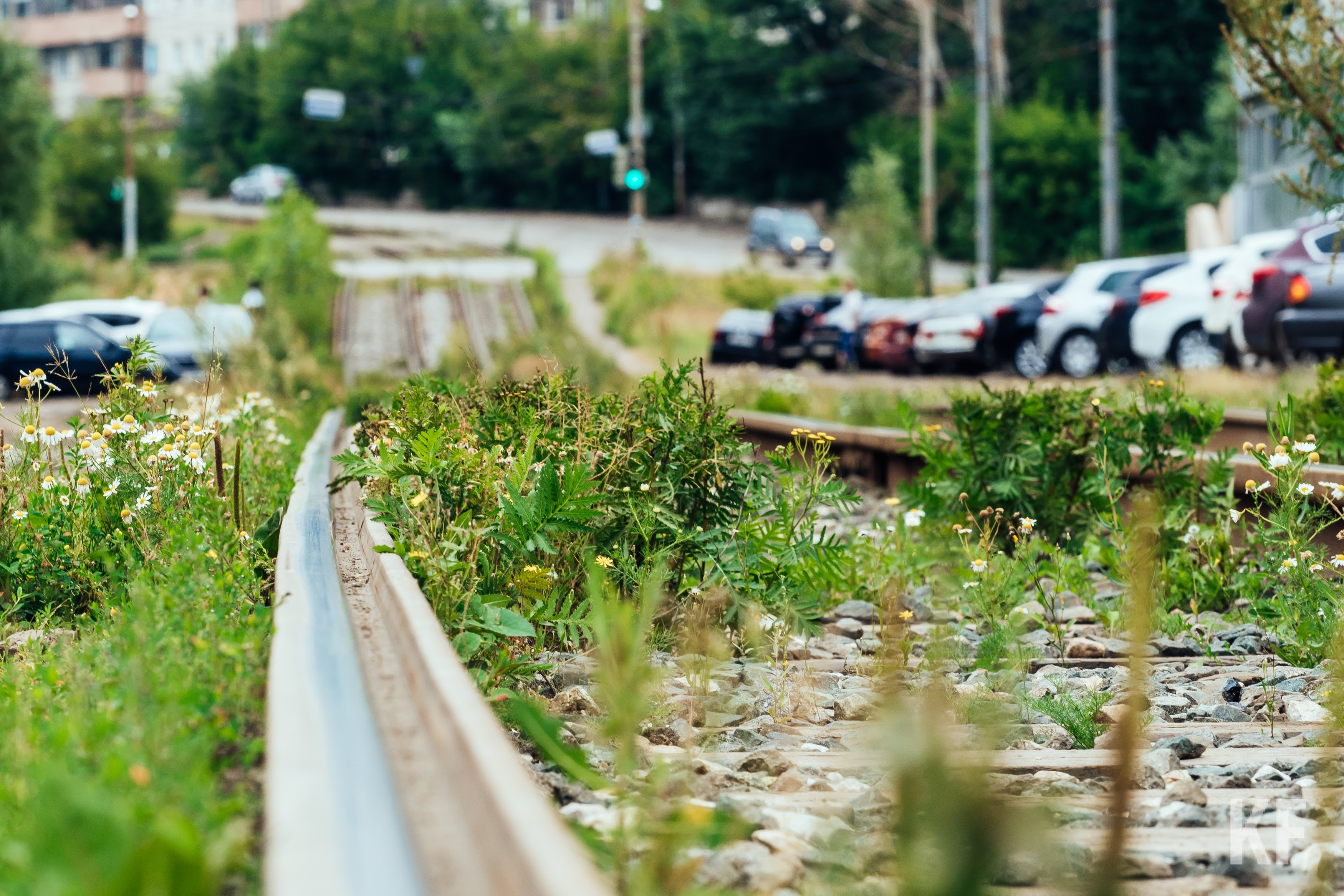 «Деньги откуда взять? Карман один — городской бюджет»