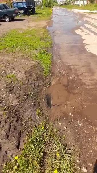 Поселок под Нижнекамском подтапливает льющаяся из-под земли вода - город готов взять на баланс бесхозные трубы