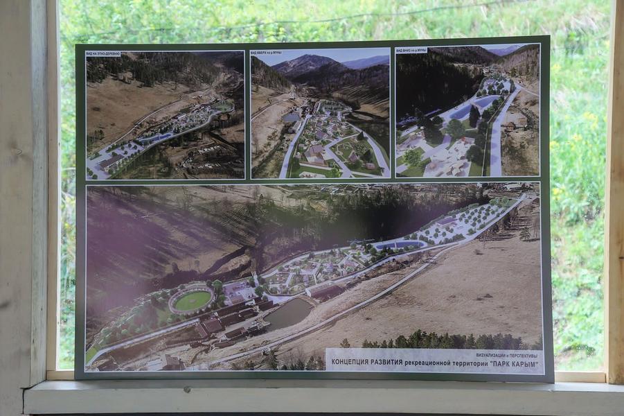 На Алтае создадут Центр сохранения биологического разнообразия «Снежный Барс»