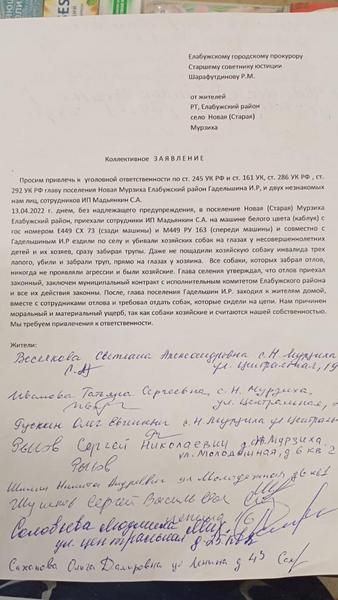 В Татарстане снова обвинили в нарушениях отловщика собак ИП Мадьянкина