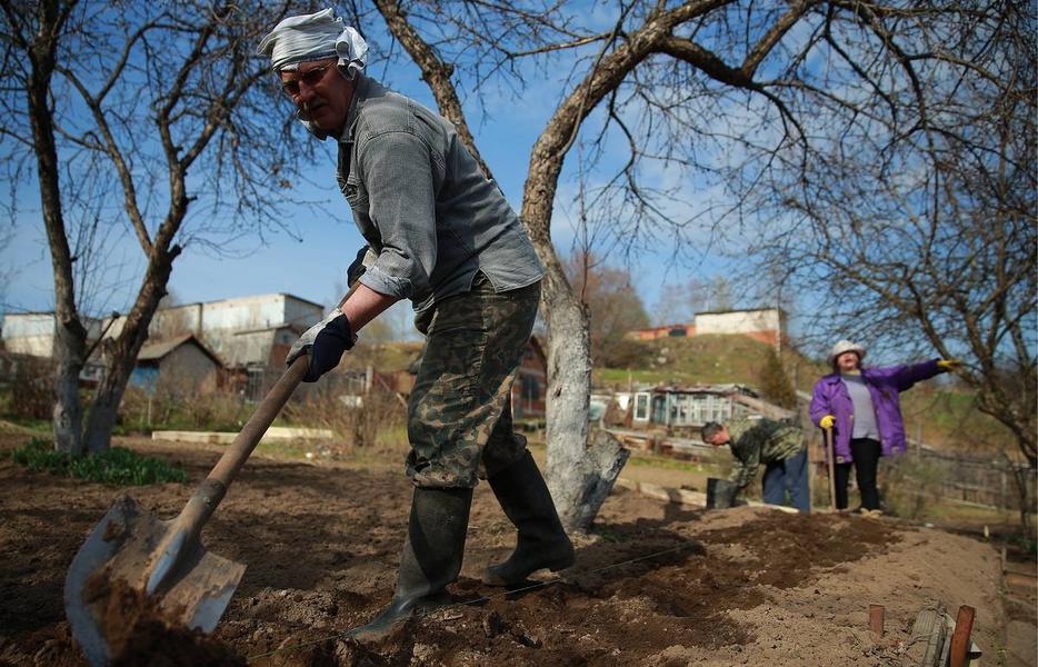 Господдержку садоводов Татарстана закрепили в законе