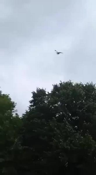 Первый полет соколят-балобанов, выращенных в Татарстане, сняли на видео