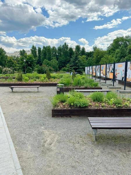 Вместо сиреневого сада жители Нижнекамска просят власти привести город в порядок