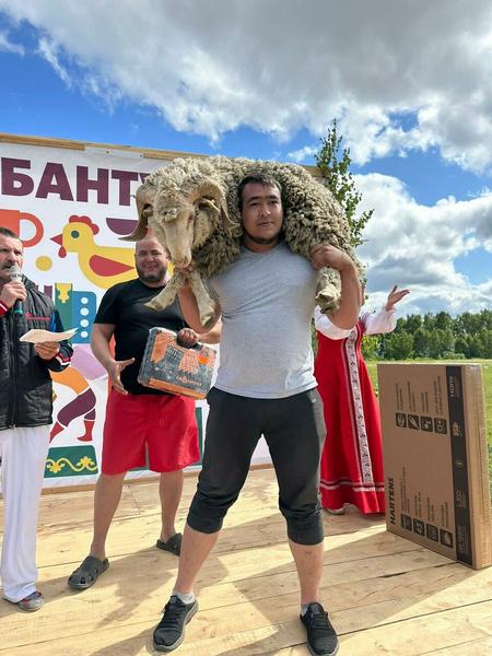 На Сабантуе в Зеленодольском районе из загона сбежал призовой баран