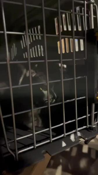 «Семьями бежали, летели просто»: вечер для казанцев из дома на Чехова закончился пожаром