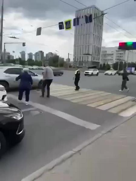 Сотрудники ДПС в Казани перевели семью уток через дорогу