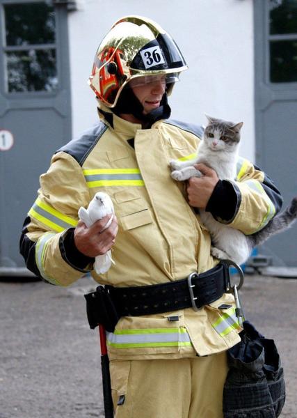 В пожарном отряде МЧС появилась кошка Люся